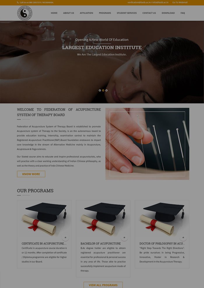 website template image